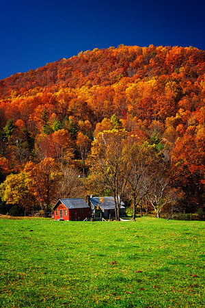 Fall Colors (1 of 1)