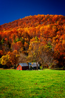 Autumn Colors