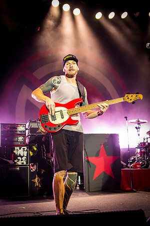 Prophets Of Rage (14 of 33)