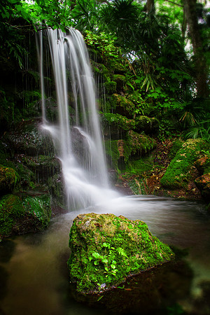 Rainbow Springs State Park, FL (1 of 1)