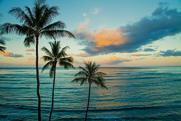 Honolulu-