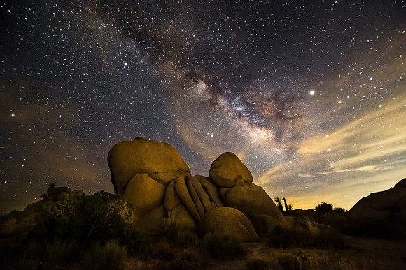 Joshua Tree National Park Milky Way